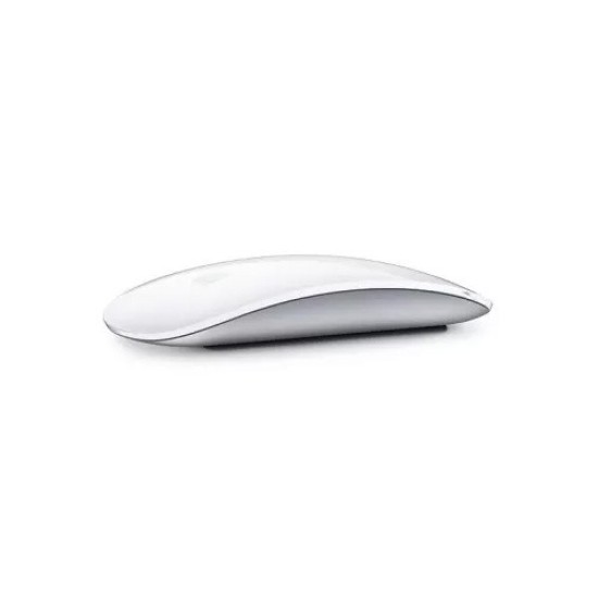 APPLE MAGIC Silver Mouse 