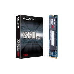 Gigabyte 256GB NVMe M.2 SSD (GP-GSM2NE3256GNTD)